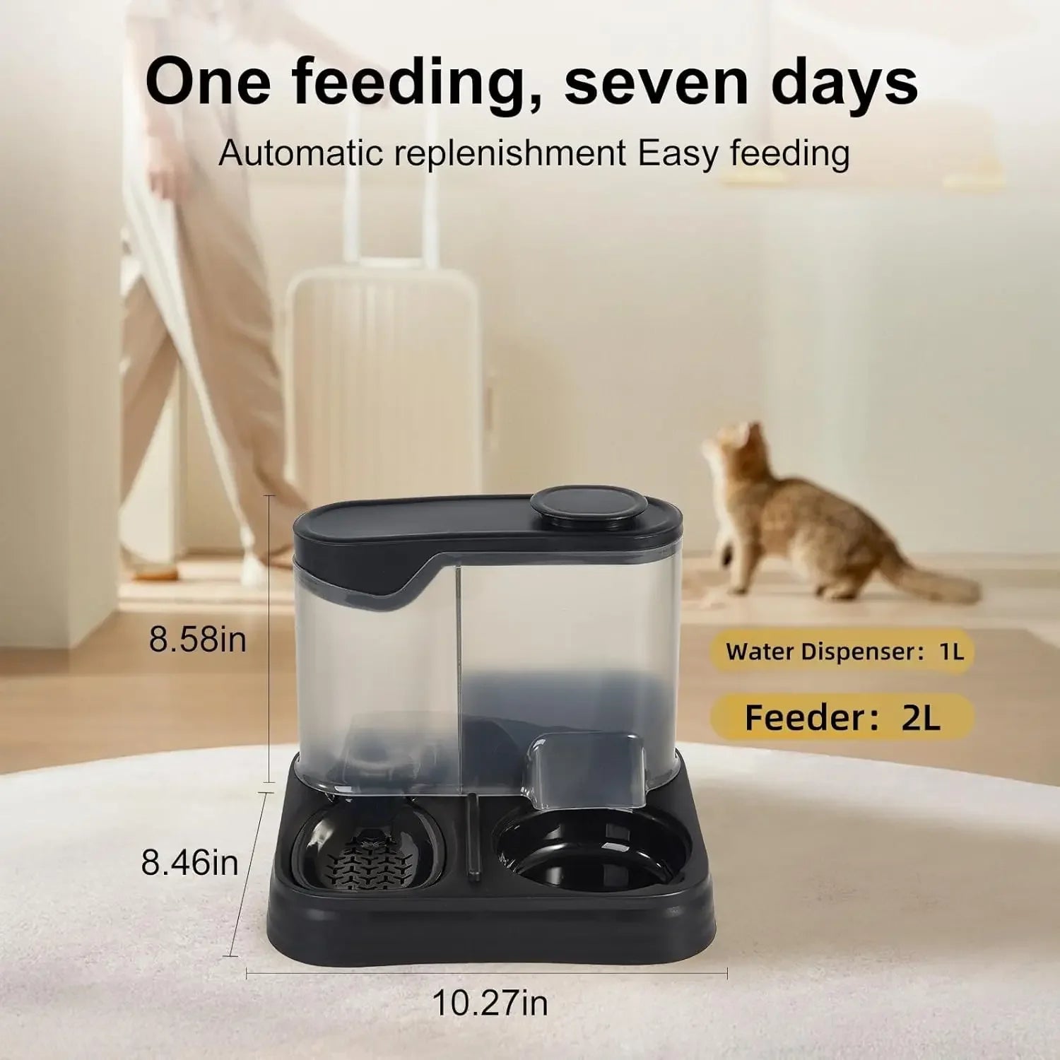 Automatic Cat Feeder FeederDog